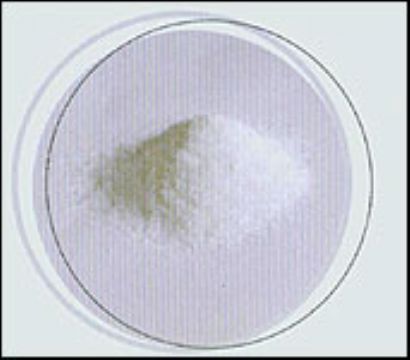 Calcium Levofolinate